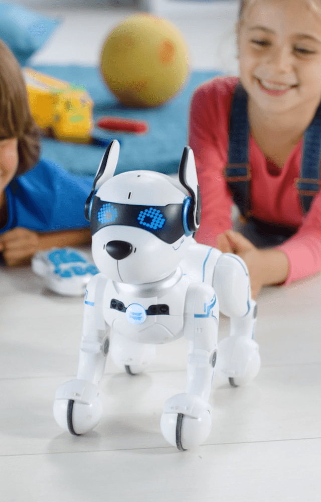 Power Puppy Chiot robot radio control